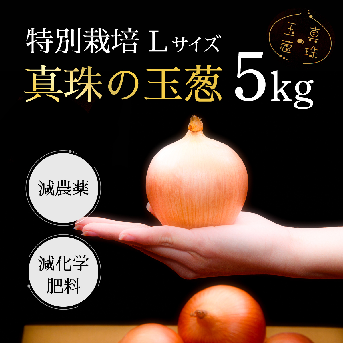 真珠の玉葱 特別栽培Lサイズ5kg ≪海のミネラルで育てた特別栽培玉葱≫【50101】