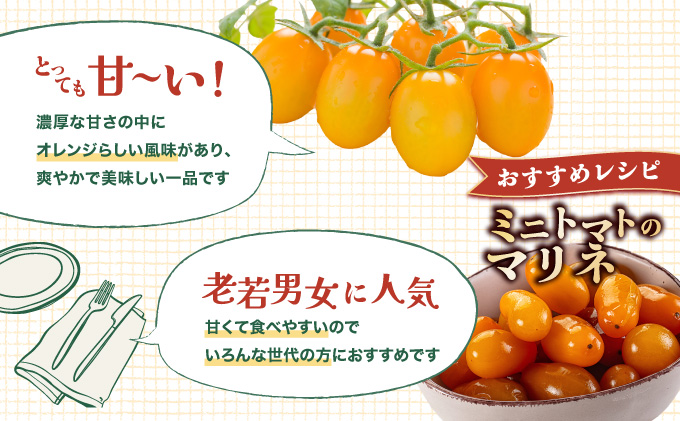 【先行販売】【ファーム雫】甘さにこだわった濃厚オレンジミニトマト ２kg【a127-004】