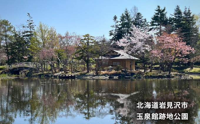 蟯ゥ隕区イ「蟶ゅが繝ェ繧ク繝翫Ν繝繧カ繧、繝ウ繝槭げ繧ォ繝繝励紳173-001縲