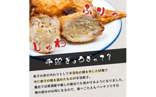 北海道産鶏肉を使った手羽先餃子【北の手羽ぎょうざ】15個セット(5個×3袋)≪配送地域限定≫【53101】