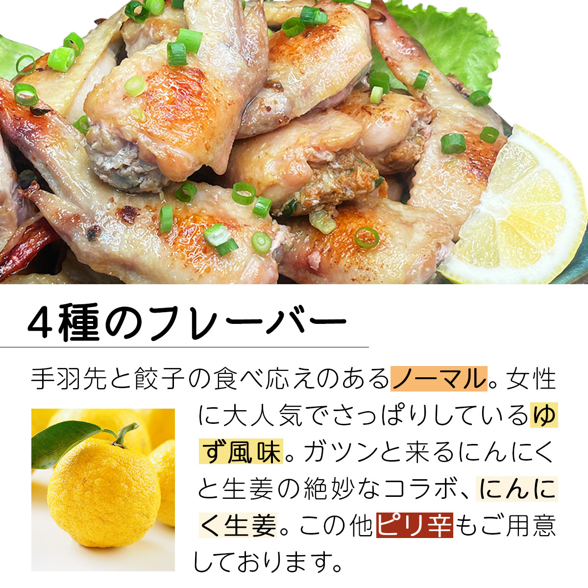 北海道産鶏肉を使った手羽先餃子【北の手羽ぎょうざ】30個セット(5個×6袋)≪配送地域限定≫【53103】