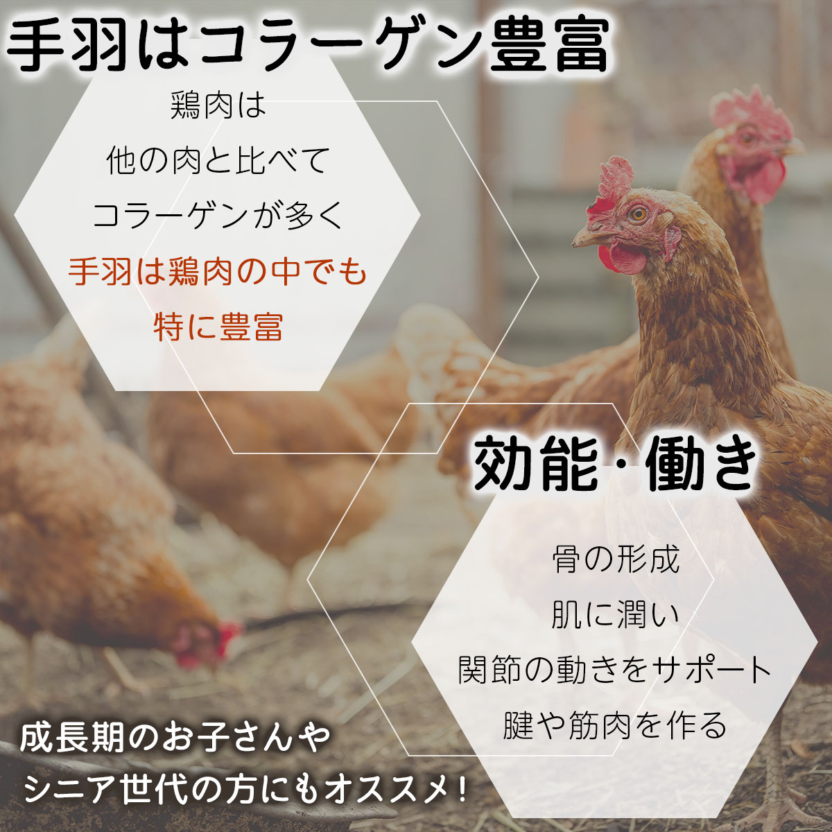 北海道産鶏肉を使った手羽先餃子【北の手羽ぎょうざ】20個セット(5個×4袋)≪配送地域限定≫【53102】