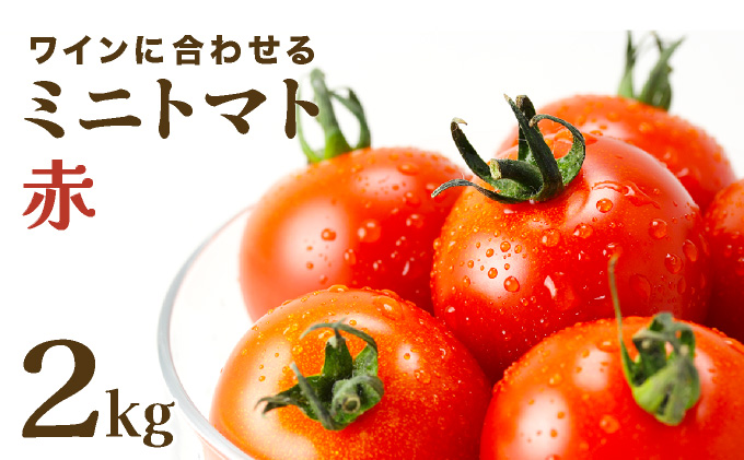 【先行販売】【ファーム雫】ワインに合わせるミニトマト赤 ２kg【a127-003】