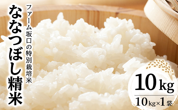 令和7年産！ファーム坂口の特別栽培米 ななつぼし精米 10kg (10kg×1袋)