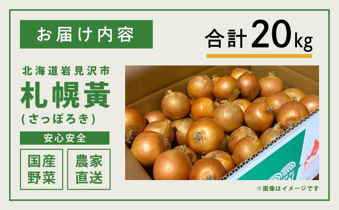 【先行予約】幻の玉ねぎ！札幌黄（さっぽろき）20kg たまねぎ 玉葱 タマネギ 国産 まとめ買い 業務用 贈り物 野菜 美味しい 送料無料 新鮮野菜 健康 和食 レストラン 国産野菜 採れたて 農家直送 産地直送 北海道 岩見沢市