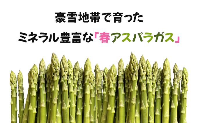 【先行予約／令和8年産】北海道岩見沢産　春グリーンアスパラ　2Lサイズ 1kg【41103】