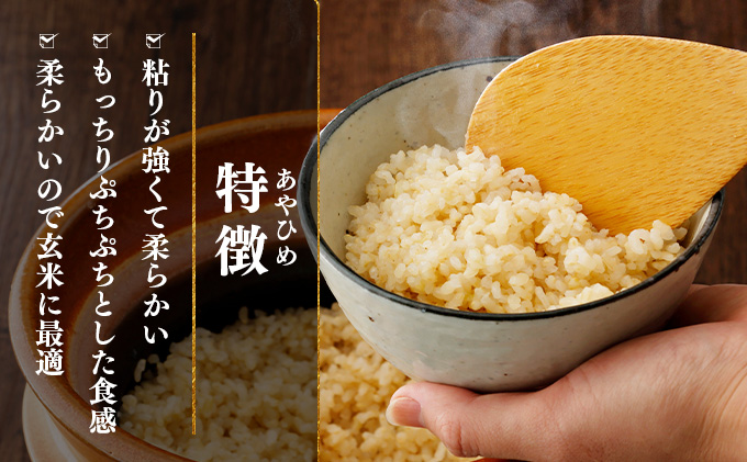 什å6å¹Žç£ åæµ·éå²©èŠæ²¢åžç£ ããã²ãçç±³5kg âªæ²çžã»é¢å³¶é
éäžå¯â«ã35029ã