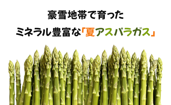 【先行予約／令和8年産】北海道岩見沢産　夏グリーンアスパラ　L〜2Lサイズ 1kg【41104】