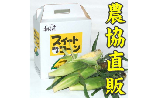 【令和６年度出荷先行予約！】北海道岩見沢市産とうもろこし2Lサイズ10本【11111】