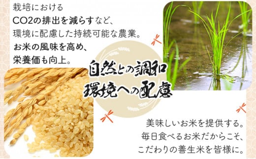 《令和7年産！》『100%自家生産玄米』善生さんの自慢の米 玄米ゆめぴりか５kg※一括発送【06124】