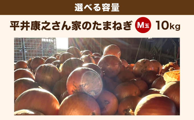 岩見沢産「平井康之さん家のたまねぎ」M玉 10kg【食絶景北海道×ゼ ロカーボンアワード2024 奨励賞『オニオンスナック オニカ』で使用】たまねぎ 玉葱 タマネギ 産地 まとめ買い 贈り物 甘い 野菜 北海道 送料無料