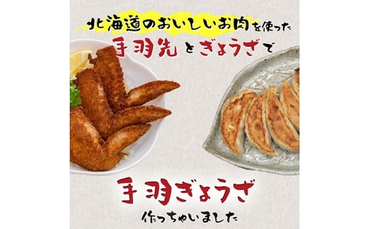 北海道産鶏肉を使った手羽先餃子【北の手羽ぎょうざ】15個セット(5個×3袋)≪配送地域限定≫【53101】