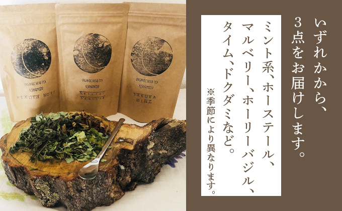 【定期便】森のハーブティーセット(3点合計39g) ≪1ヶ月に1回 計6回のお届け≫【無農薬・化学肥料不使用】【51102】