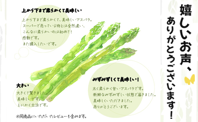 【先行予約／令和8年産】北海道岩見沢産　春グリーンアスパラ　2Lサイズ 1kg【41103】