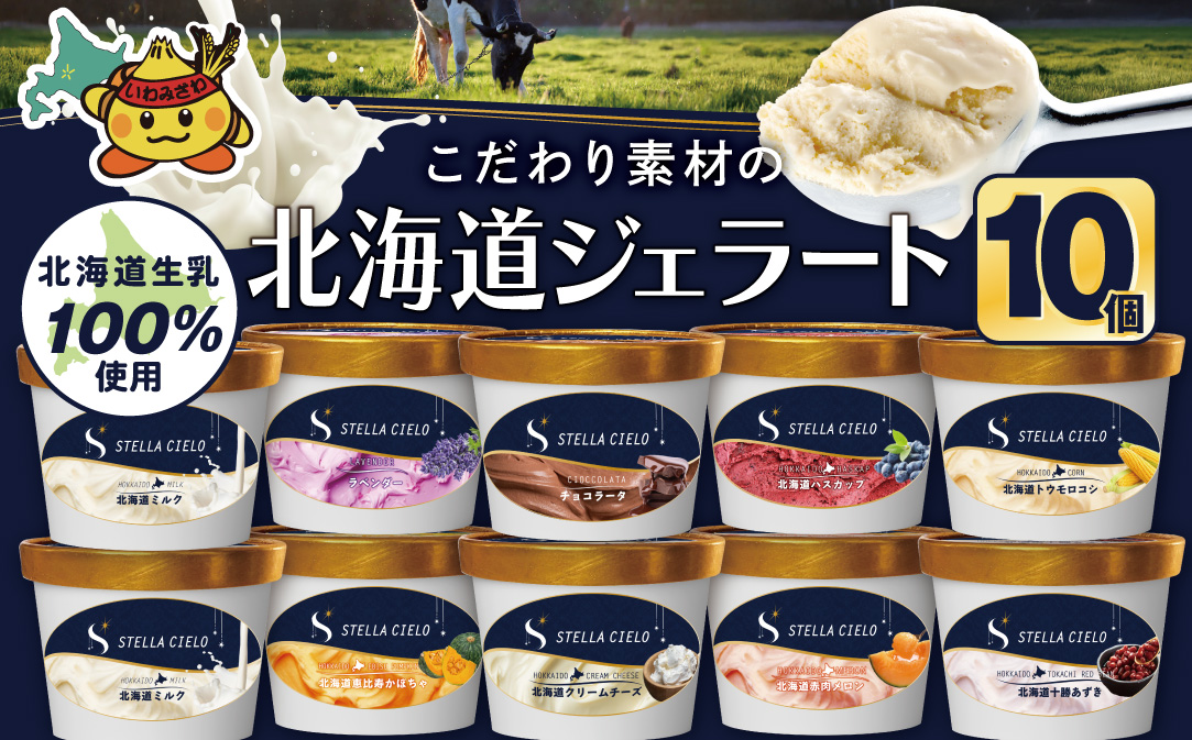 STELLA CIELO 北海道ジェラート10個 | 北海道ミルク チョコラータ 北海道クリームチーズ 北海道産十勝あずき 北海道恵比寿かぼちゃ 北海道赤肉メロン 北海道ハスカップ ラベンダー 北海道トウモロコシ