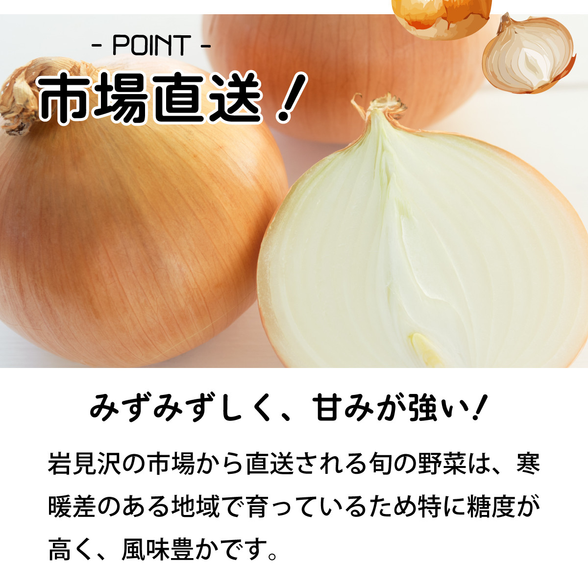 【通常配送】市場の目利き 北海道岩見沢産たまねぎ 10kg