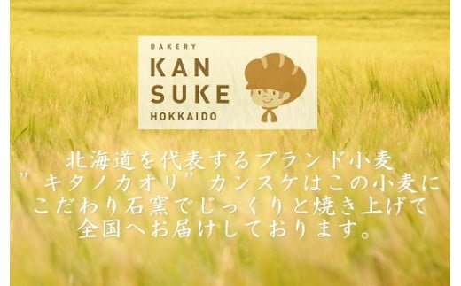 そのままでしっとりモチモチおいしい生食パン！北海道産小麦の生食パン3本セット【19115】