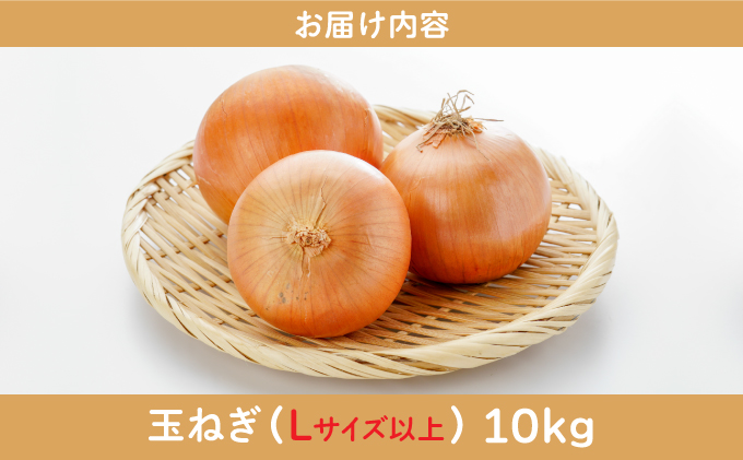 【引換券（現地受取）】市場の目利き 北海道岩見沢産たまねぎ 10kg