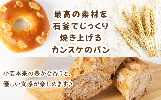 ããã¿ãã«ãªãªå°éºŠã®ãã«ã³ãŒã¹ãåæµ·éç£å°éºŠã®ç³çª¯ããŸãããã³ã»ããã19101ã