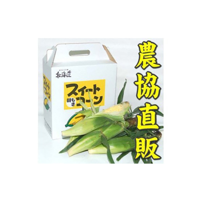 【令和６年度出荷先行予約！】北海道岩見沢市産とうもろこし2Lサイズ24本【11112】