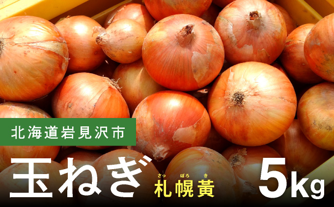 【先行予約】幻の玉ねぎ！札幌黄（さっぽろき）5kg たまねぎ 玉葱 タマネギ 国産 まとめ買い 業務用 贈り物 野菜 美味しい 送料無料 新鮮野菜 健康 和食 レストラン 国産野菜 採れたて 農家直送 産地直送 北海道 岩見沢市