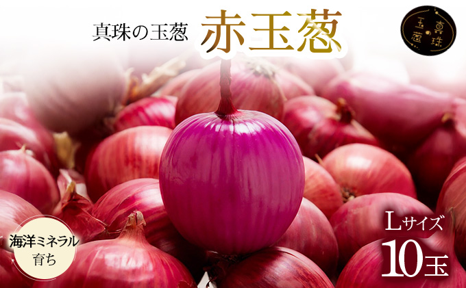 真珠の玉葱 赤玉葱Lサイズ10玉 ≪海のミネラルで育てた特別栽培玉葱≫【50107】