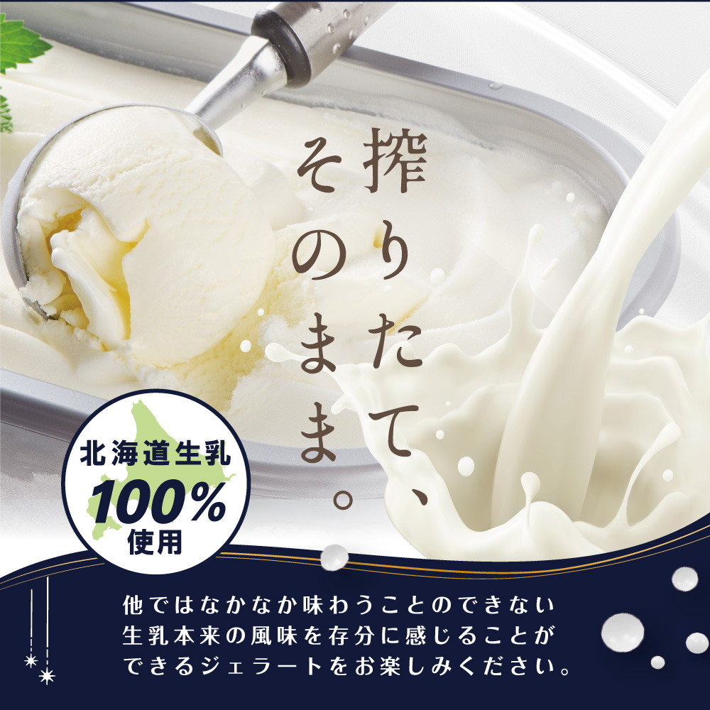 STELLA CIELO 北海道ジェラート4個 フルーティー | 北海道ミルク 北海道赤肉メロン 北海道ハスカップ ラベンダー