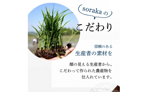 岩見沢産米粉使用、グルテンフリー製法のエクレアお任せ15本詰め合わせ【24026】