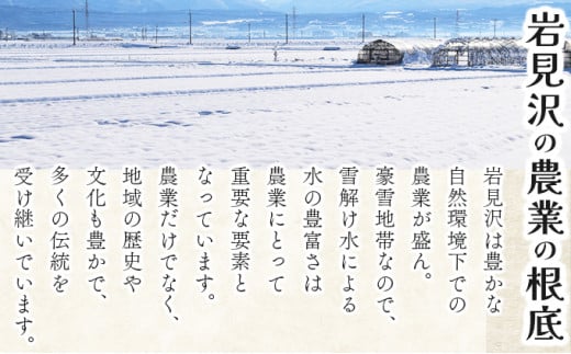 《令和7年産！》『100%自家生産玄米』善生さんの自慢の米 玄米ななつぼし５kg※一括発送【06120】