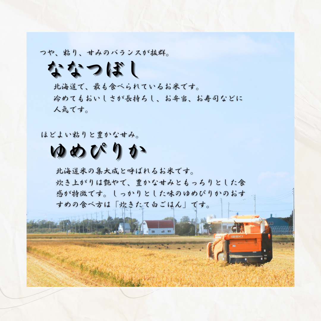 令和6年産 北海道一の米処“岩見沢”の自信作! ななつぼし5kg＆ゆめぴりか5kg×2回 合計20kg ※定期便【11104】