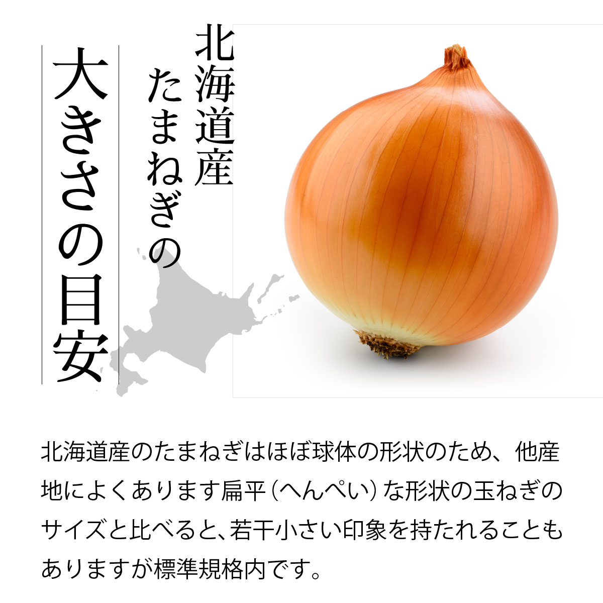 真珠の玉葱 特別栽培Lサイズ5kg(赤玉葱5個入り) ≪海のミネラルで育てた特別栽培玉葱≫【50108】