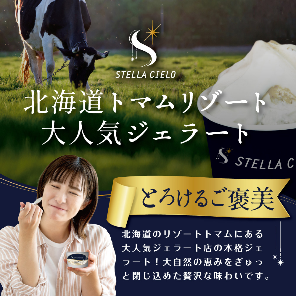 STELLA CIELO 北海道ジェラート4個 フルーティー | 北海道ミルク 北海道赤肉メロン 北海道ハスカップ ラベンダー