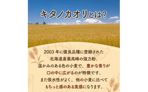 大人気！！石窯焼きのおまかせパン詰め合わせ18個セット【19114】