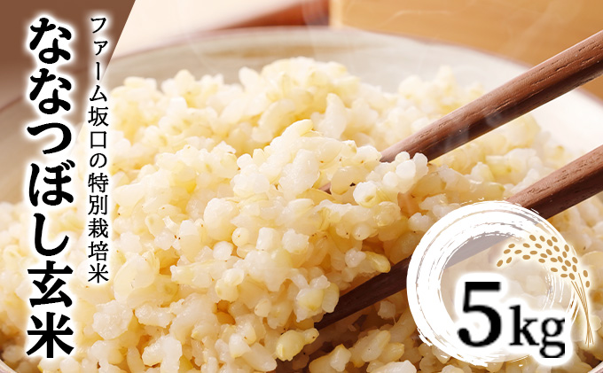 令和7年産！ファーム坂口の特別栽培米 ななつぼし玄米 5kg