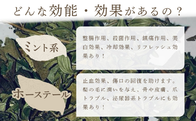 【定期便】森のハーブティーセット(3点合計39g) ≪1ヶ月に1回 計3回のお届け≫【無農薬・化学肥料不使用】【51102】