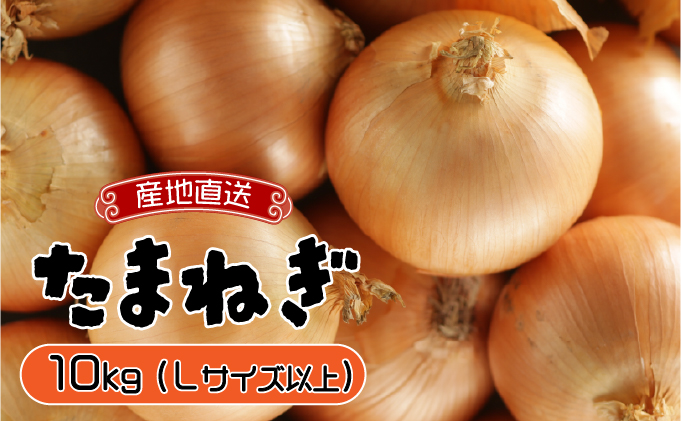 【通常配送】市場の目利き 北海道岩見沢産たまねぎ 10kg