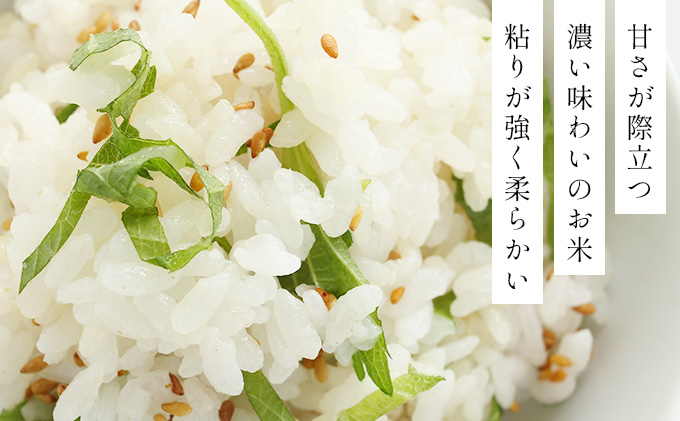 令和7年産！ファーム坂口の特別栽培米 ゆめぴりか精米 10kg (10kg×1袋)