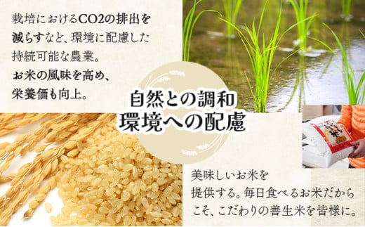 《令和7年産！》『100%自家生産玄米』善生さんの自慢の米 玄米ななつぼし５kg※一括発送【06120】
