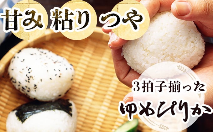 《令和7年産！》『100%自家生産精米』善生さんの自慢の米 ゆめぴりか10kg※一括発送