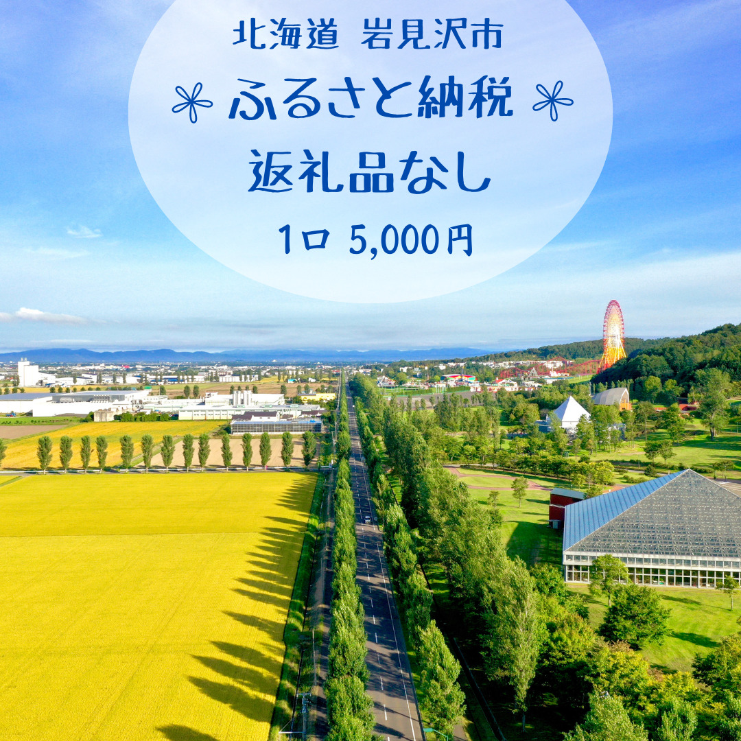 【返礼品なし】岩見沢市 寄附のみ応援 5,000円【応援寄附】