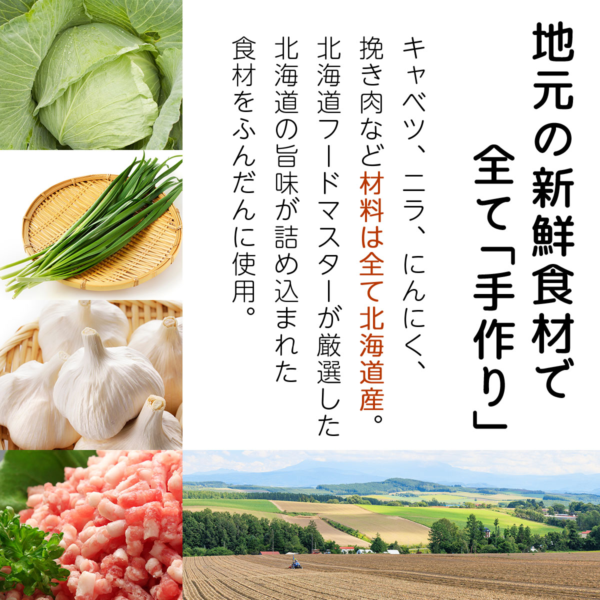 北海道産鶏肉を使った手羽先餃子【北の手羽ぎょうざ】30個セット(5個×6袋)≪配送地域限定≫【53103】