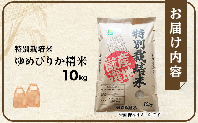 令和7年産！ファーム坂口の特別栽培米 ゆめぴりか精米 10kg (10kg×1袋)