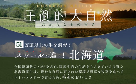 岩見沢産たまねぎ使用 北海道産牛チーズハンバーグ10個セット 全技連日本料理マイスター監修♪【38102】