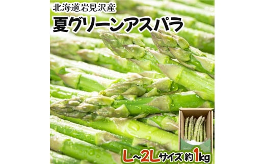 【先行予約/令和6年産】北海道岩見沢産　夏グリーンアスパラ　L〜2Lサイズ 1kg【41104】