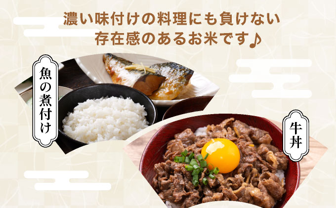 北海道一の米処“岩見沢”の自信作！ゆめぴりか（5kg×5ヶ月） 合計25kg ※定期便
