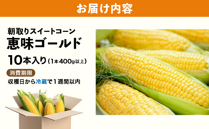 【先行予約】朝取りスイートコーン「恵味ゴールド」10本入り｜コーン とうもろこし 岩見沢市 野菜 北海道【a167-001】