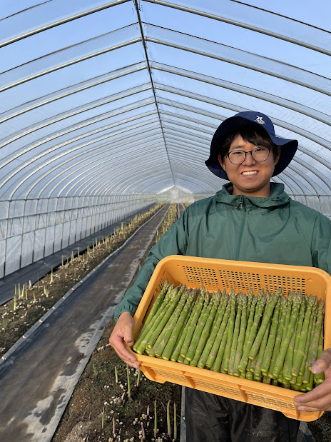 【先行予約/令和7年産】北海道岩見沢産　春グリーンアスパラ　2Lサイズ 1kg【41103】