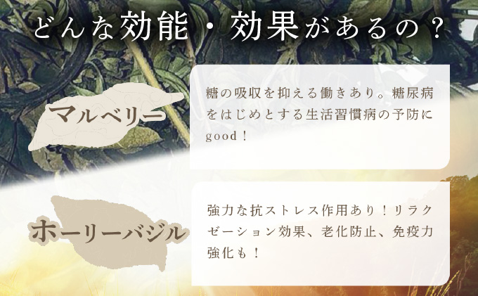 【定期便】森のハーブティーセット(3点合計39g) ≪1ヶ月に1回 計6回のお届け≫【無農薬・化学肥料不使用】【51102】