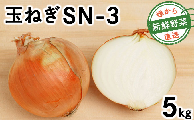 【先行予約】畑から直送の新鮮野菜！玉ねぎ（SN-3）5kg