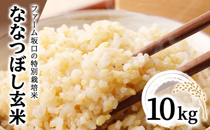 令和7年産！ファーム坂口の特別栽培米 ななつぼし玄米 10kg (10kg×1袋)
